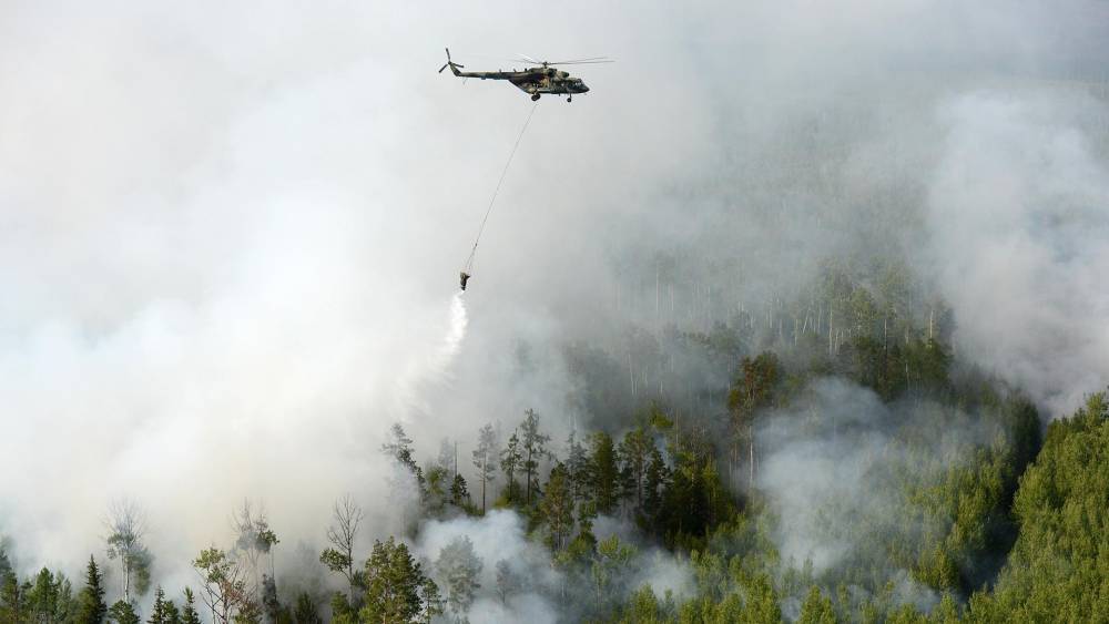 В МЧС назвали основной причиной пожаров в Сибири неосторожное обращение с огнем