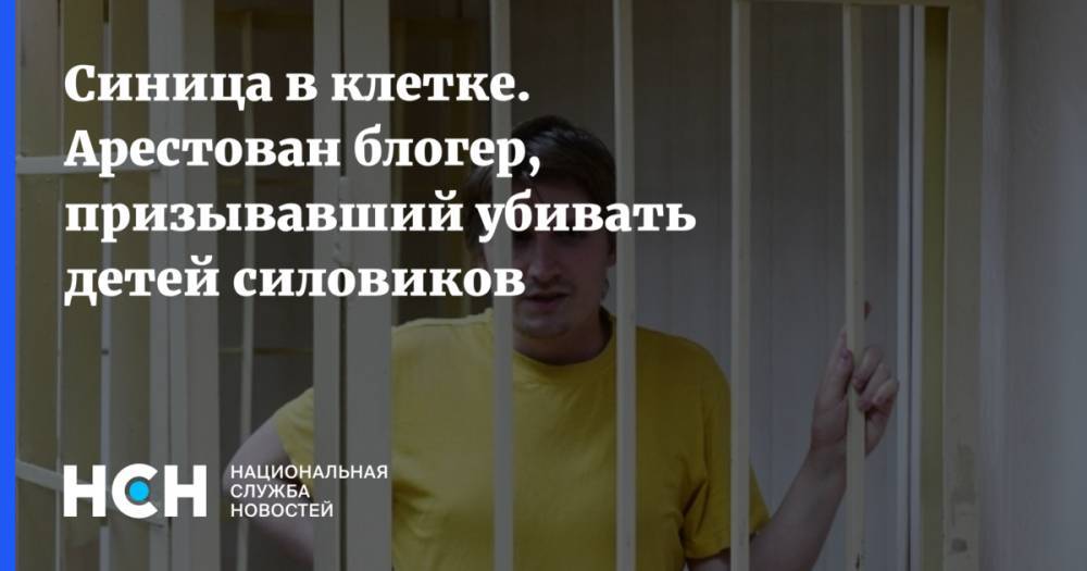 Синица в клетке. Арестован блогер, призывавший убивать детей силовиков