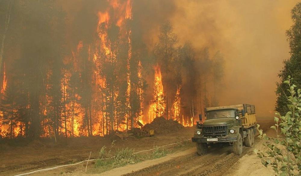 В МЧС хотят поменять методику подсчета площадей лесных пожаров