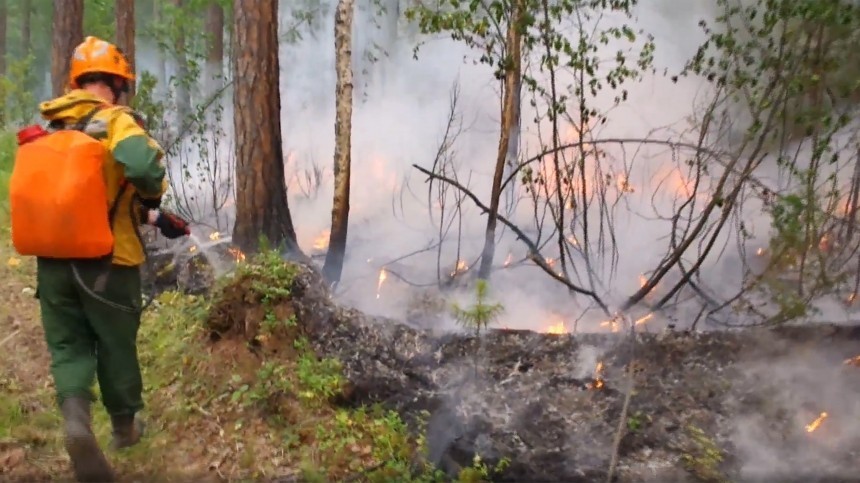 Видео: Регионы РФ искажали статистику по лесным пожарам