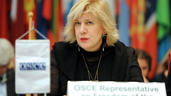 Комиссар Совета Европы по правам человека призвала РФ изменить методы при задержаниях граждан