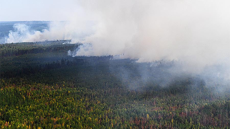 Генпрокуратура обвинила власти регионов в искажении данных по лесным пожарам