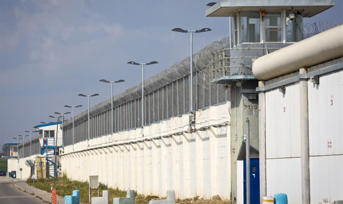 Сколько заключенных получили высшее образование в израильских тюрьмах