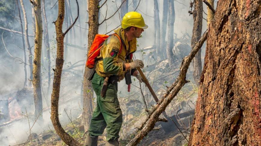 Генпрокуратура: Власти регионов искажают данные по лесным пожарам