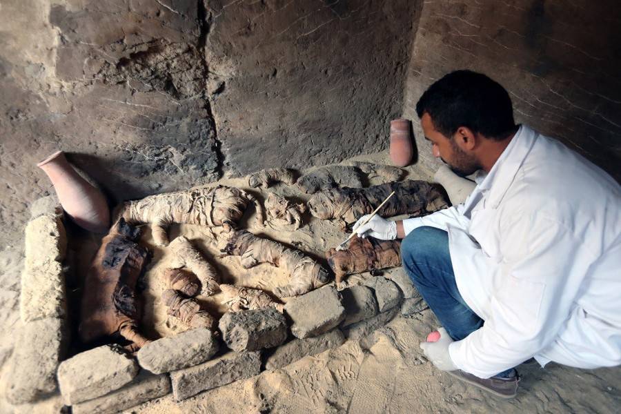 В Египте нашли кладбища эпохи неолита