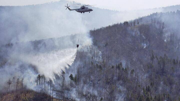 2,4 млрд. рублей составил ущерб от лесных пожаров в России за 2019 год