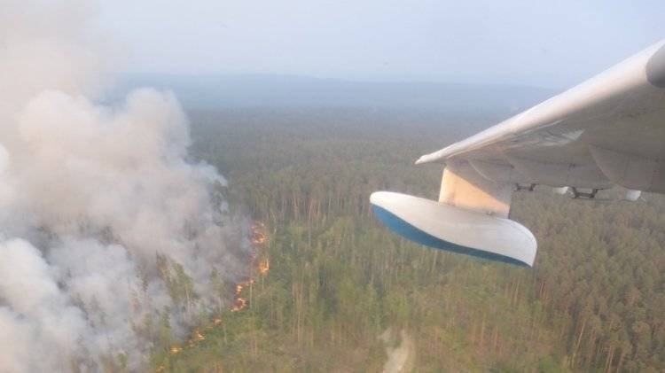 Около 70 лесных пожаров потушены в России за сутки
