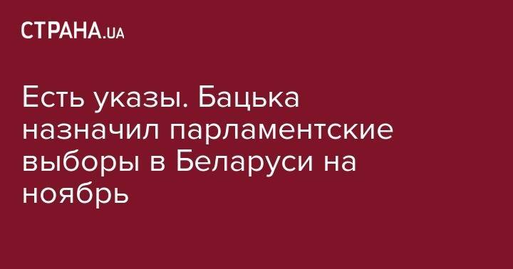 Есть указы. Бацька назначил парламентские выборы в Беларуси на ноябрь
