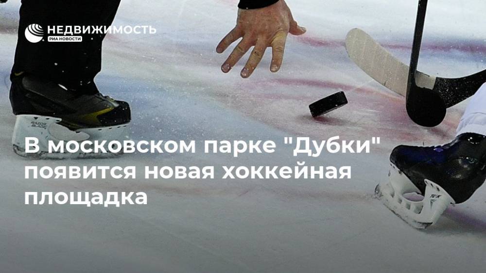 В московском парке "Дубки" появится новая хоккейная площадка