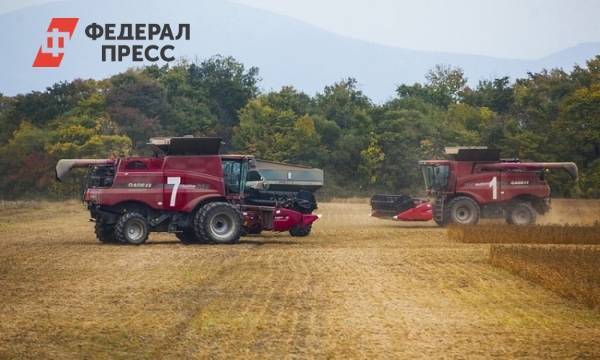 Приморские фермеры начали убирать урожай | Приморский край | ФедералПресс