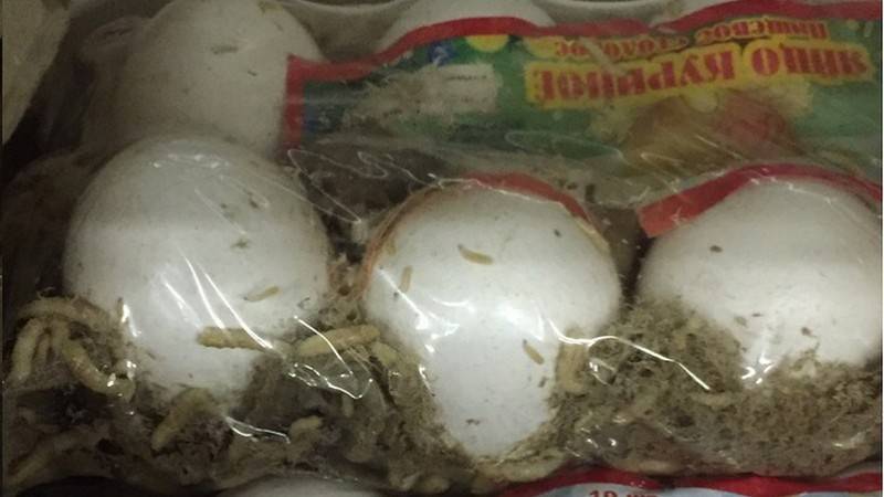 Жители Башкирии нашли опарышей в упаковке с яйцами