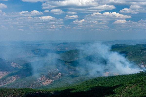 Площадь лесных пожаров в России за сутки выросла на 14 тысяч га