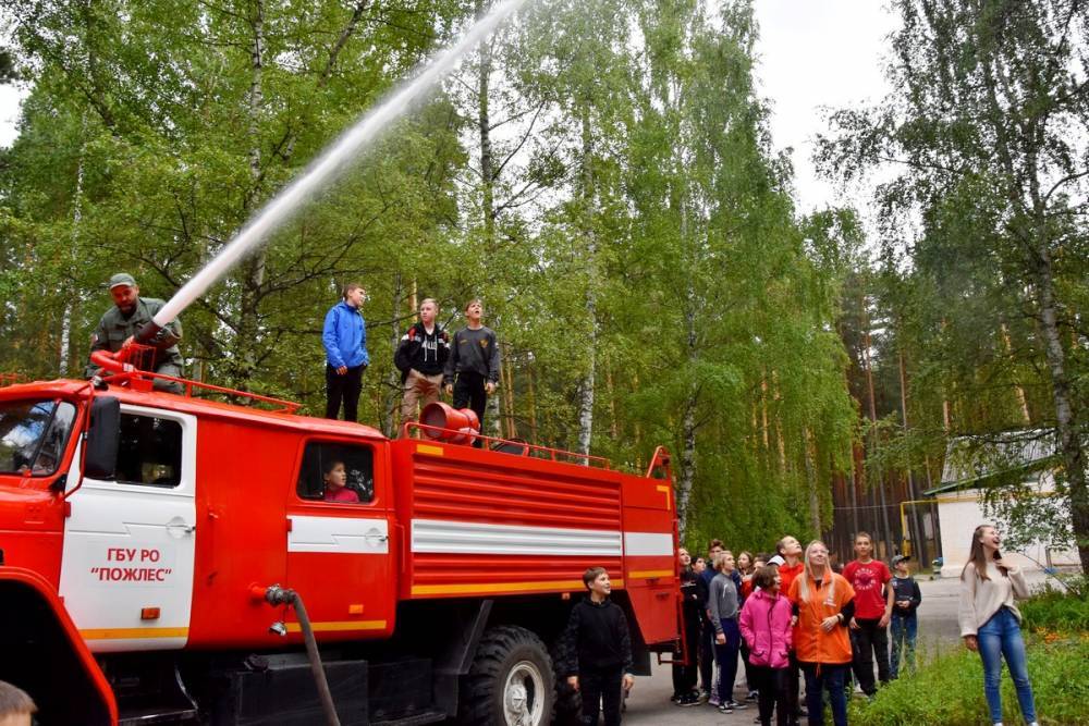 В Рязанской области проходит региональная акция «Дети на страже леса - 2019» – РИА «7 новостей»