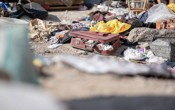 Полчища крыс и тараканов: почему только вонью от мусорных куч Ереван не отделается