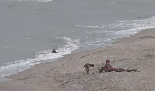 На всех пляжах Одессы запретили купаться. Что произошло?
