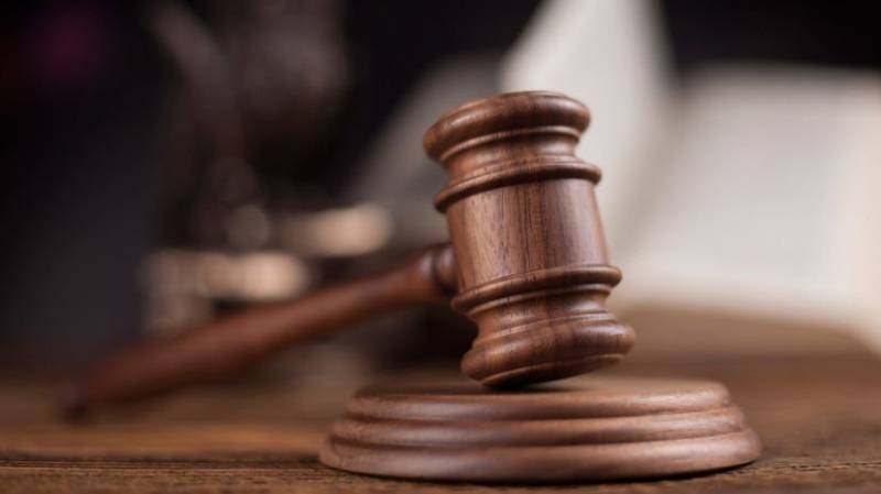 Суд принял иск о лишении родительских прав супругов после несогласованной акции