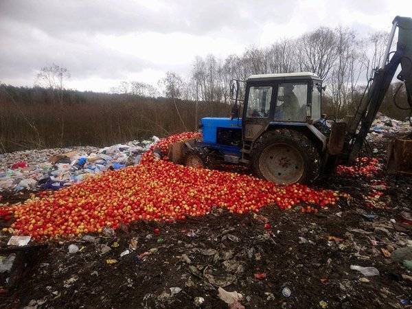 За полтора года в России уничтожили более 10 тысяч тонн санкционной еды