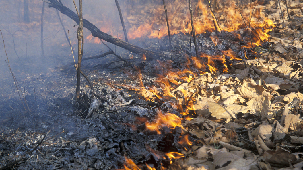 Сатановский предложил по "разгильдяйству" с пожарами и потопами ударить "драконовскими мерами"