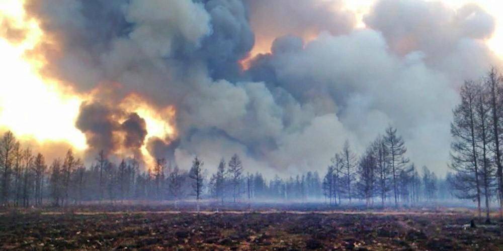 Генпрокуратура: пожарами в Иркутской области пытались скрыть незаконную вырубку деревьев