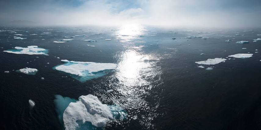 Гренландия за день потеряла 12,5 млрд т льда, это новый рекорд