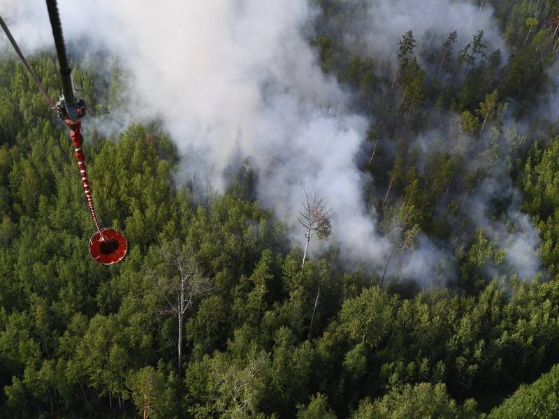Площадь лесных пожаров в России увеличилась за сутки на 14 тысяч га