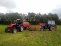 Несмотря на дожди, в Бежецкой колонии заготовили уже 50 тонн сена - ТИА - tvernews.ru - Бежецк