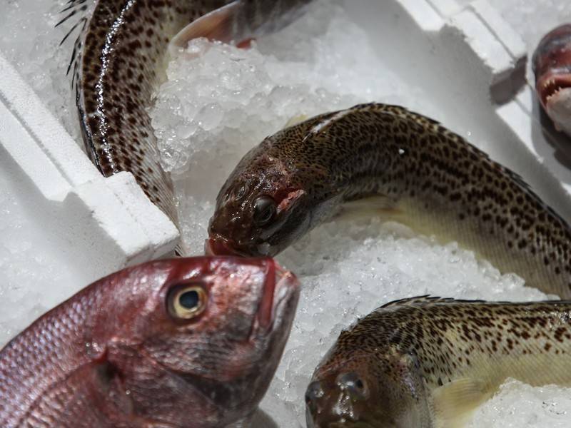 Роспотребнадзор снял с реализации более 8 тонн рыбы и морепродуктов
