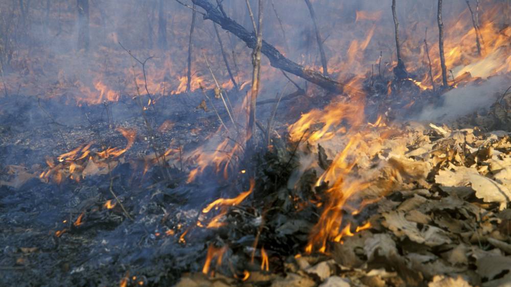 Военная авиация выполнила работу по тушению очагов возгорания в Красноярском крае
