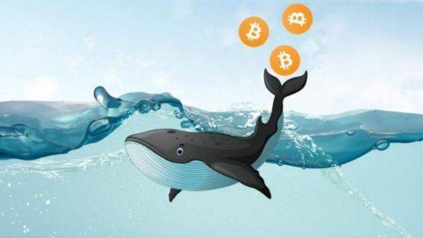 Крипто-кит поспорил с CEO Binance на 10 биткоинов