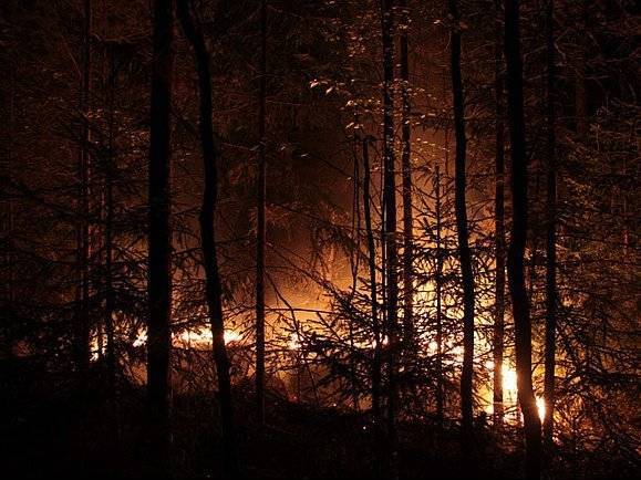 УАЗ запатентовал автомобиль для тушения небольших лесных пожаров