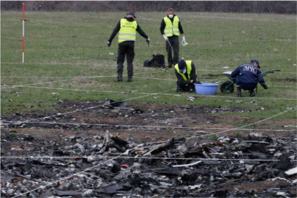 Немецкий детектив предложил предать России материалы по делу MH17