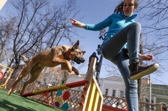 Застройщиков предлагают обязать создавать площадки для собак в новых дворах