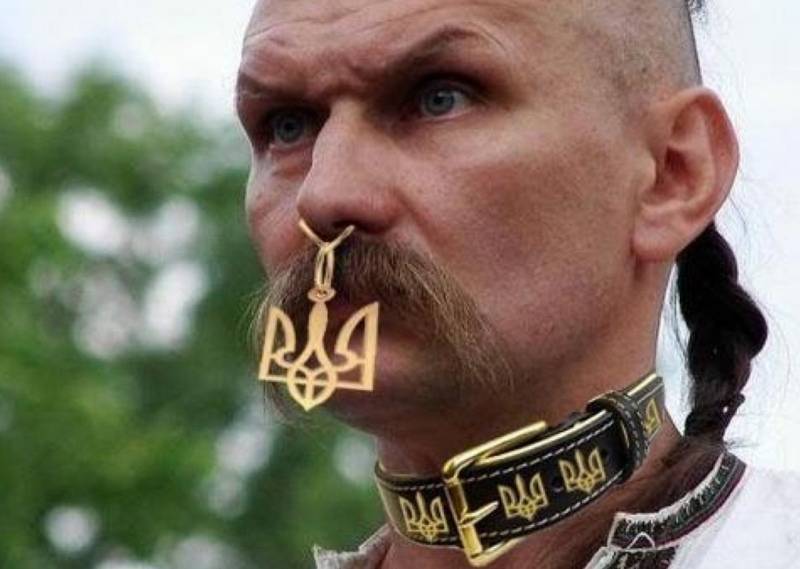 В Станице Луганской представители ЛНР вновь столкнулись с подзабытым шароварным идиотизмом