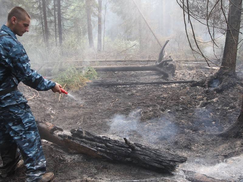 Ущерб от лесных пожаров в Красноярском крае может составить 2 млрд рублей