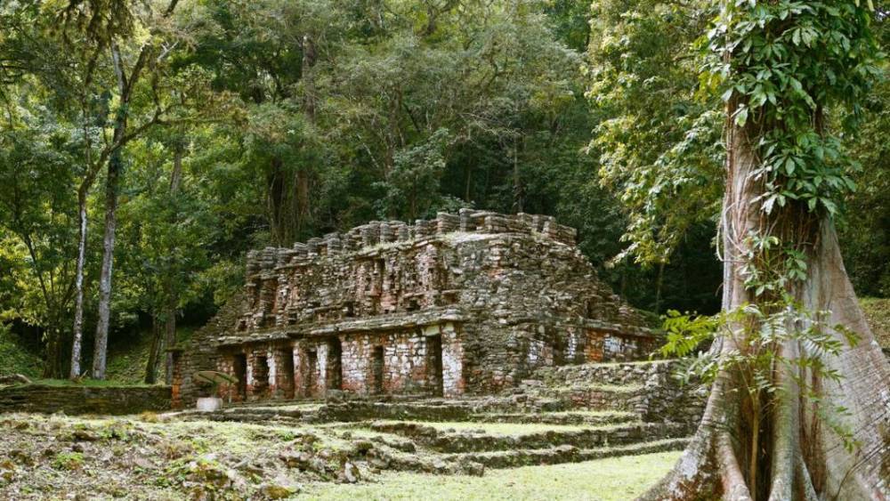 "Тотальное уничтожение": Древние иероглифы майя рассказали о жестокой войне