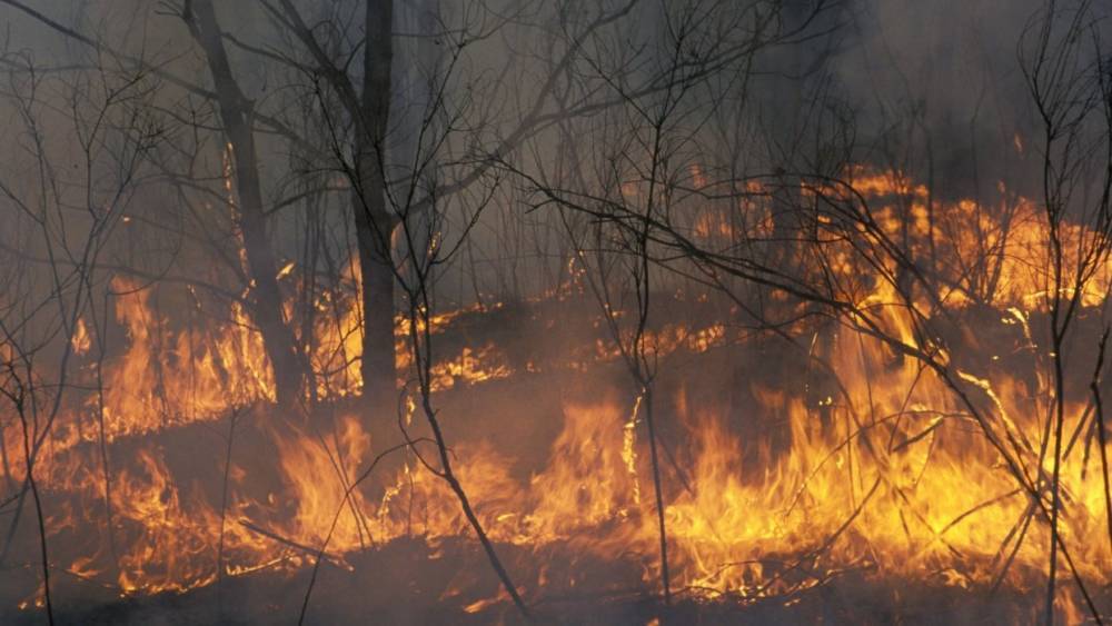 Якутск окутал дым от лесных пожаров