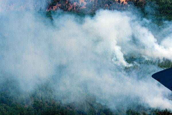 Прокуроры уличили власти регионов в искажении данных по лесным пожарам