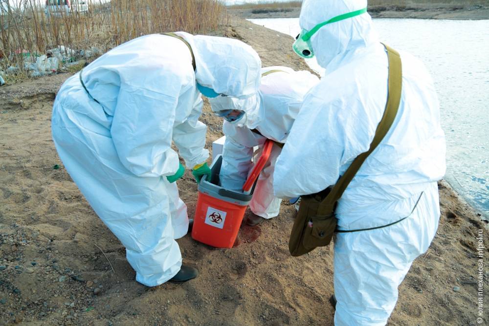 В Бурятии начальник учреждения ветеринарии приказала работникам зарыть в землю токсичные отходы