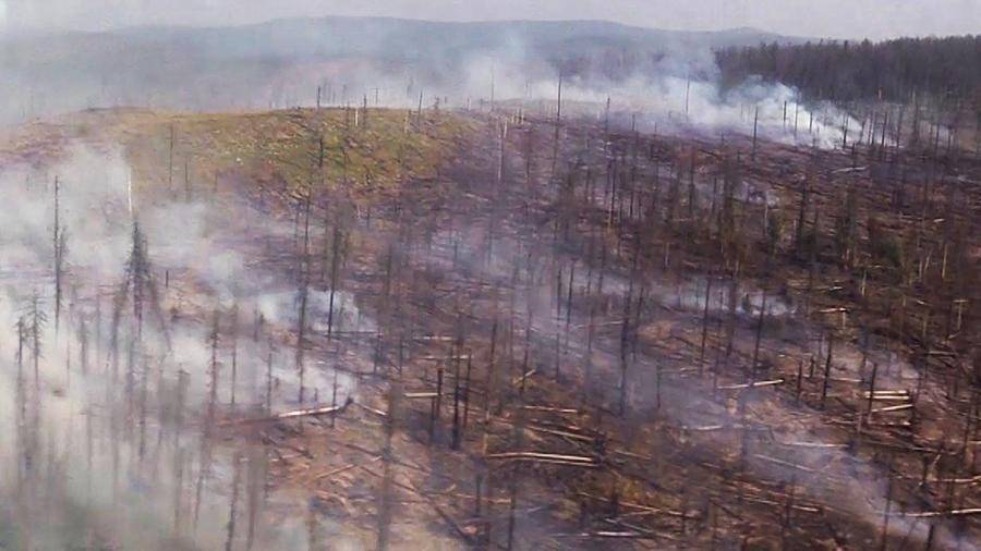 Власти Иркутской области просили МЧС начать тушение лесных пожаров в июле
