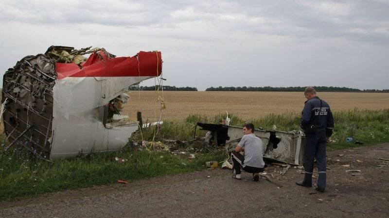 Детектив из Германии намерен придать огласке имена ответственных за крушение MH17