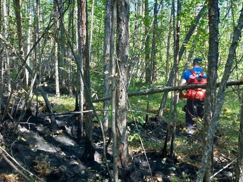 МЧС заявило об уменьшении лесных пожаров в Якутии