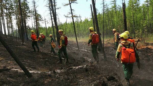 Площадь лесных пожаров в России выросла за сутки на 10 процентов — Информационное Агентство "365 дней"