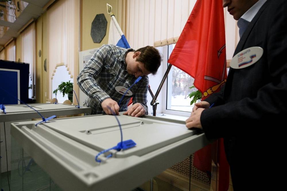 СКР не нашел оснований для проведения проверок по поводу нарушения выборов в Петербурге