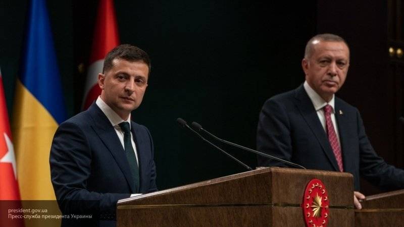 Зеленский надеется, что Турция окажет влияние на обстановку в регионе Черного моря