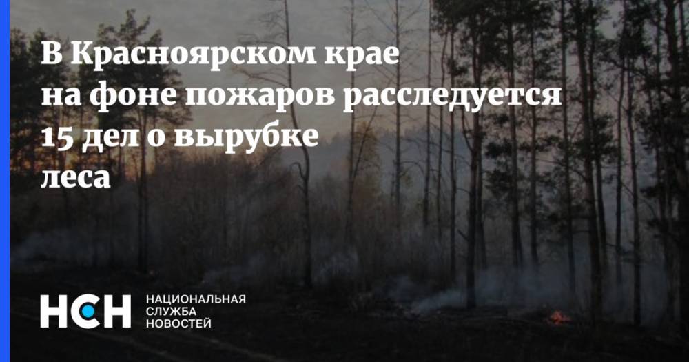 В Красноярском крае на фоне пожаров расследуется 15 дел о вырубке леса