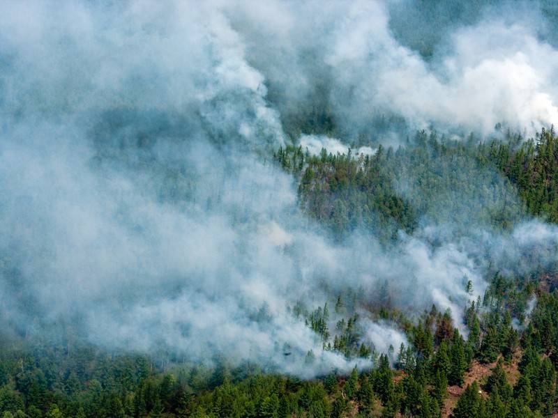 67 лесных пожаров ликвидировали в России за сутки