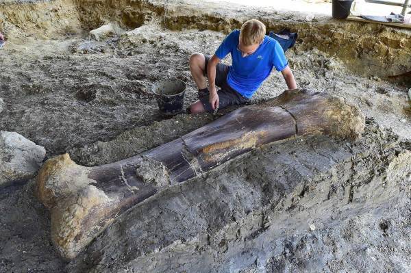 Палеонтологи обнаружили в Техасе останки странного динозавра