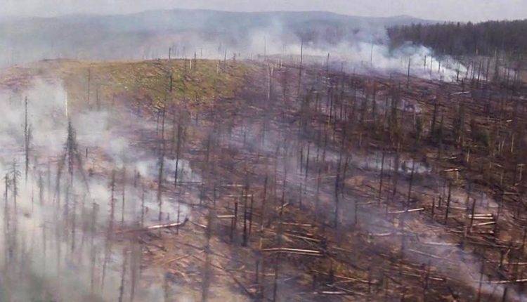 Власти Иркутской области просили МЧС начать тушение лесных пожаров в июле