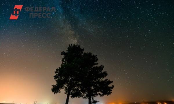Звездный дождь обрушится на Алтайский край 12 августа | Алтайский край | ФедералПресс