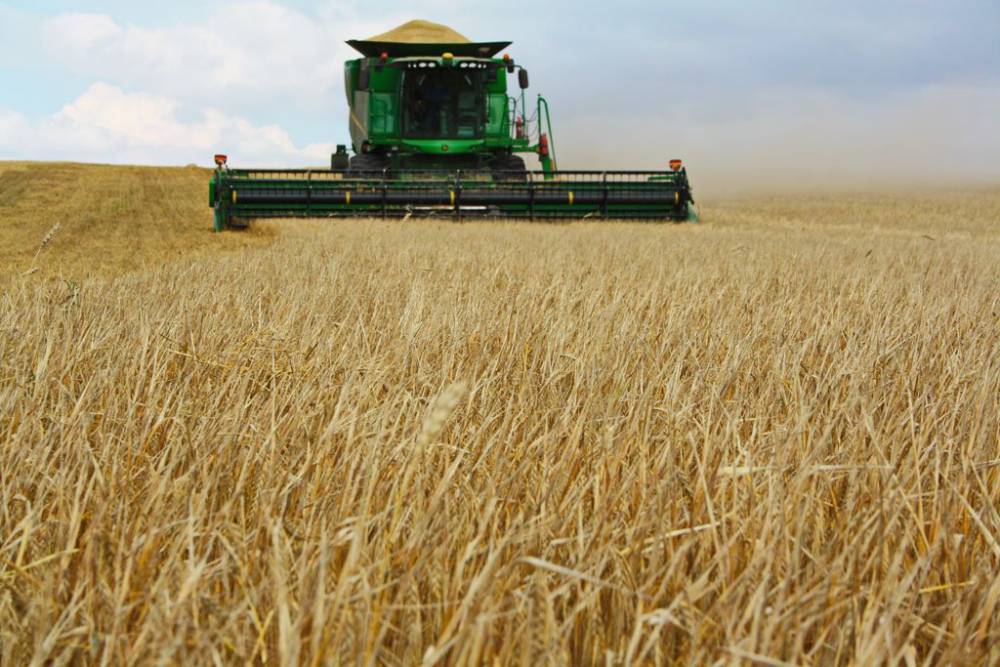 Рязанские аграрии собрали 1 миллион тонн зерновых – РИА «7 новостей»